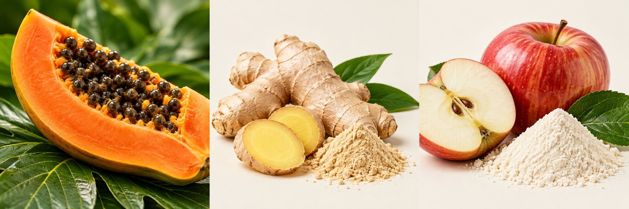 Illustrative papaya, ginger and apple ingredient photography